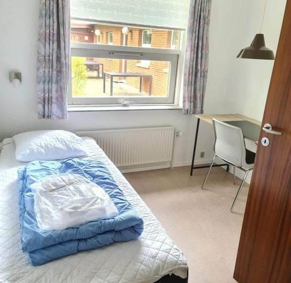 标准单人间, Aarhus Hostel Og