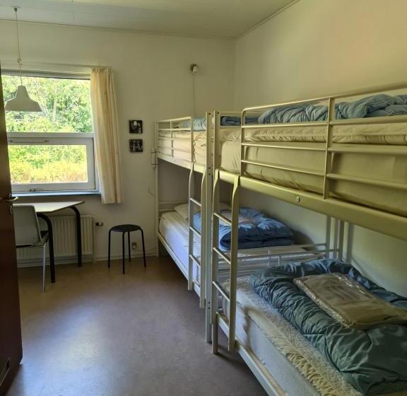 غرفة قياسية رباعية, Aarhus Hostel Og