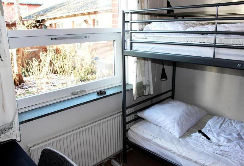 غرفة قياسية, Aarhus Hostel Og