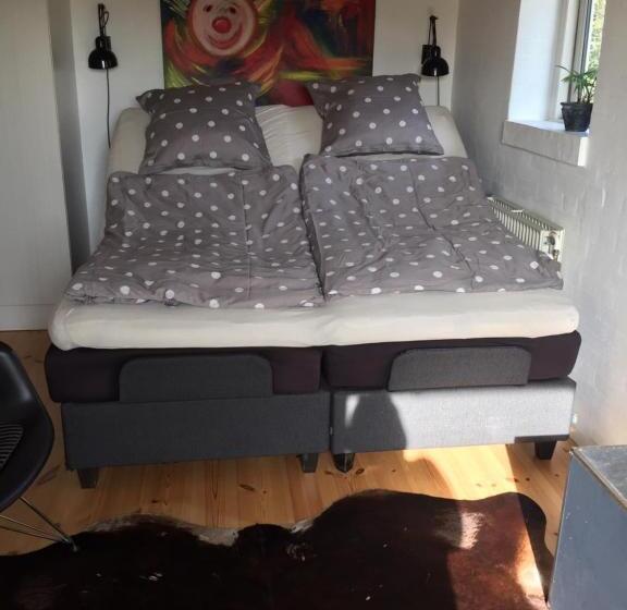 Номер Стандартный с Видом, Bed & Breakfast Horsens   Udsigten