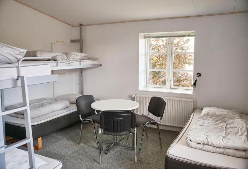 Четырехместный Номер Стандарт, Danhostel Haderslev