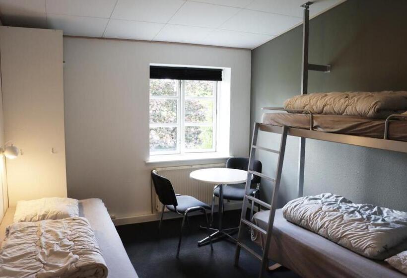 غرفة قياسية ثلاثية, Danhostel Haderslev