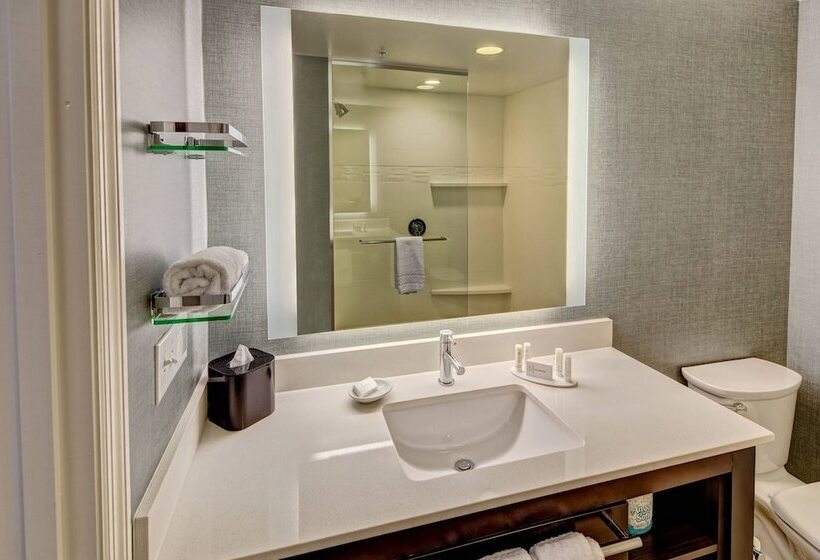 Люкс Адаптированный для Инвалидов, Residence Inn By Marriott Blacksburg University