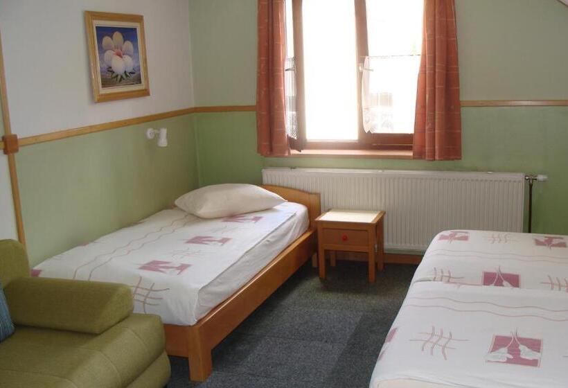 Номер Стандарт Трехместный, Pansion Maltar Varaždin