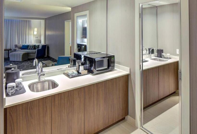 Люкс 2 Спальни, Courtyard By Marriott Appleton Riverfront