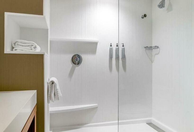 Стандартный Номер Кровать Кинг, Courtyard By Marriott Toledo North