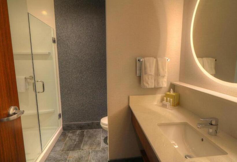 Pokój Standard Łóżko King Size, Fairfield Inn & Suites By Marriott Gatlinburg Downtown