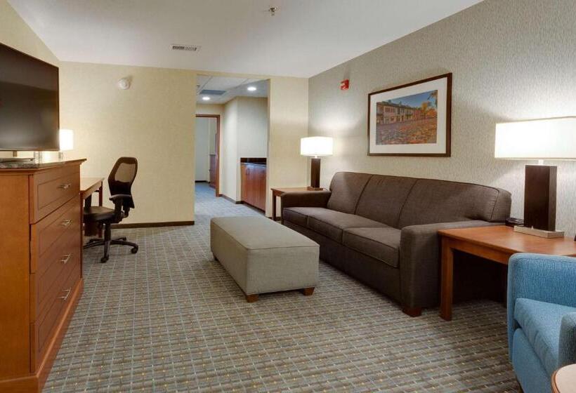 Люкс, Drury Plaza Hotel St. Louis St. Charles