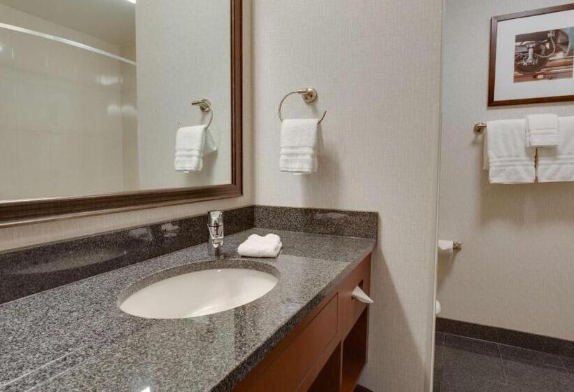 Номер Deluxe, Drury Plaza Hotel St. Louis St. Charles