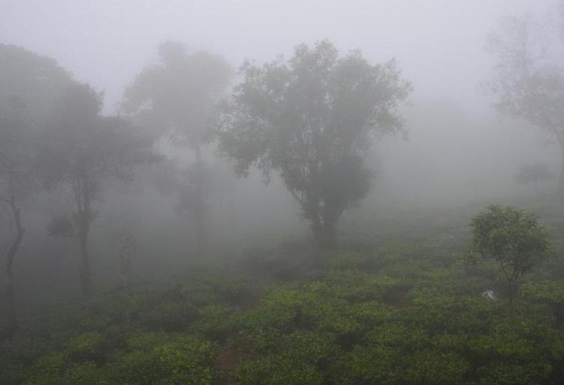 4인용 스탠다드 룸, Chillax Vagamon