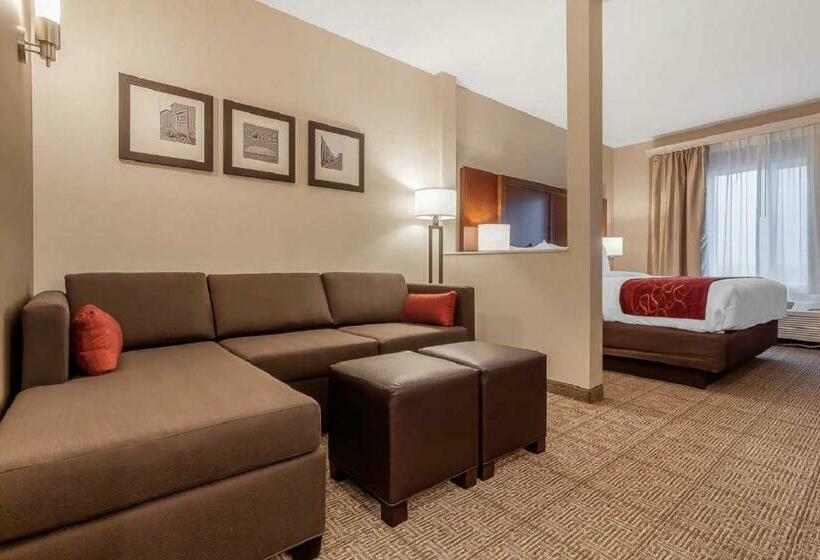 Люкс Кровать Кинг, Comfort Suites