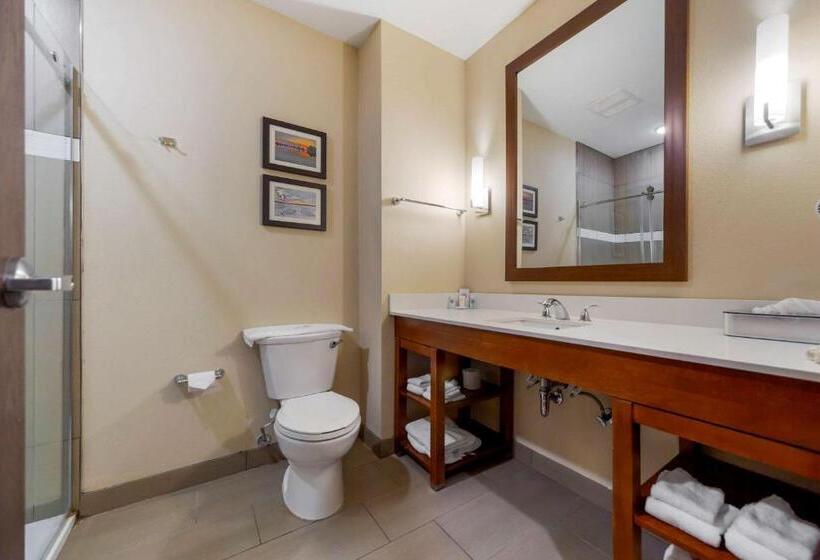 Люкс Кровать Кинг, Comfort Suites