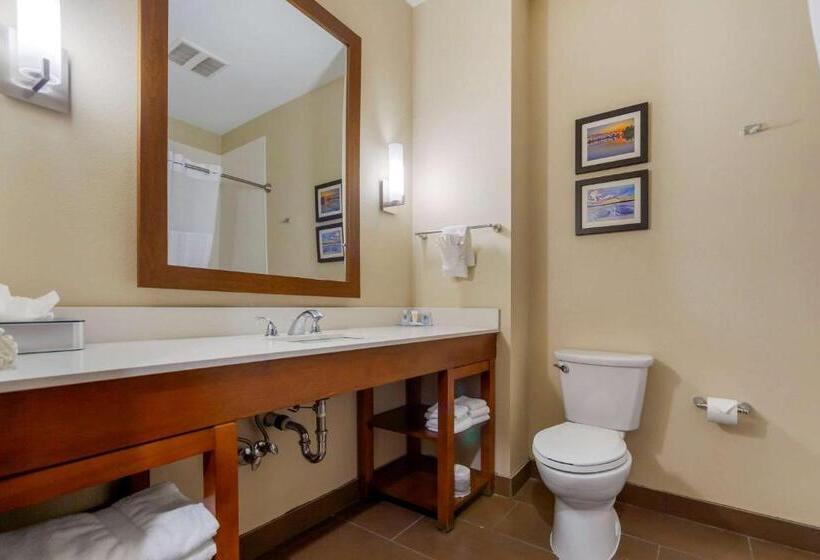 Люкс, Comfort Suites