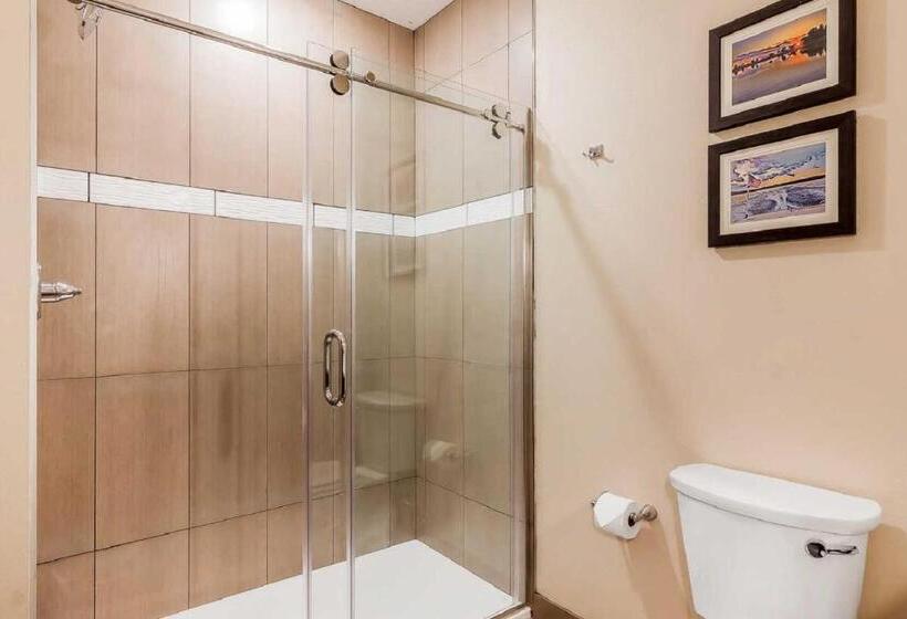 Люкс Адаптированный для Инвалидов, Comfort Suites