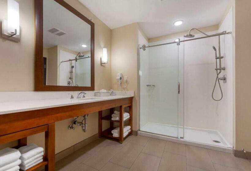 Люкс Executive Кровать Кинг, Comfort Suites