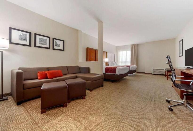 Люкс Адаптированный для Инвалидов, Comfort Suites