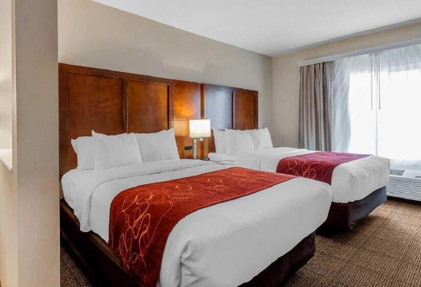 장애인을 위한 스위트, Comfort Suites