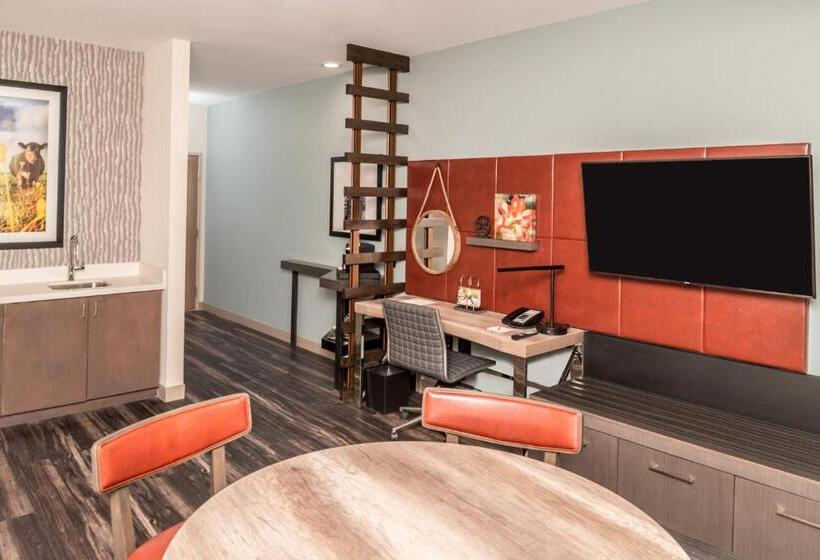 带大床的套房, Indigo   Frisco, An Ihg