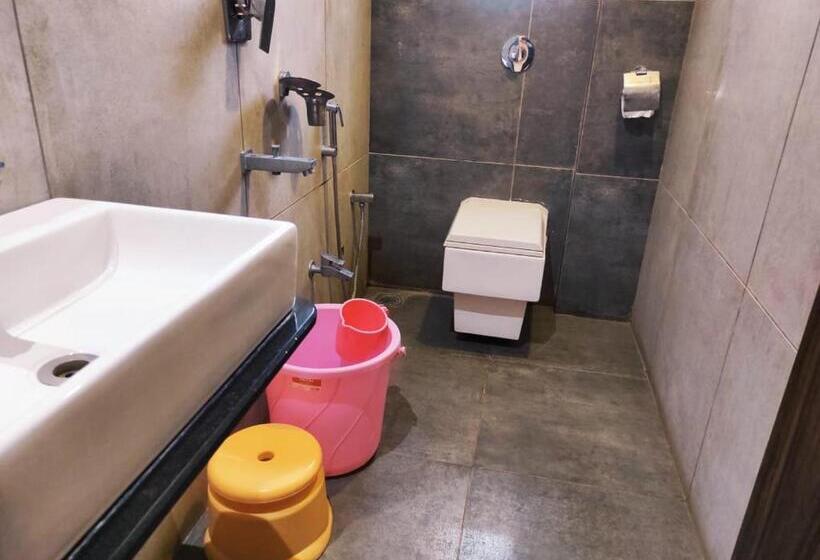 Номер Стандарт, Manasi Inn