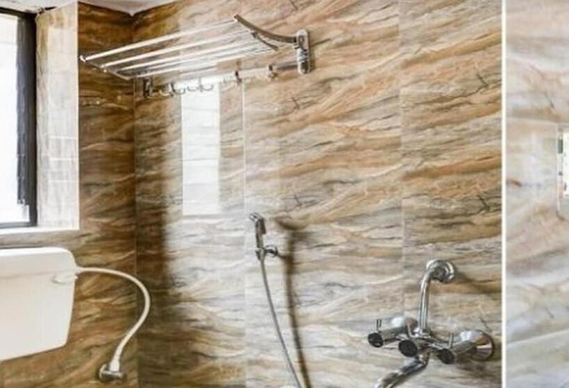 Номер Стандарт, Manasi Inn