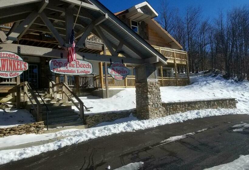스탠다드 룸 산 전망, Top Of The Beech Inn