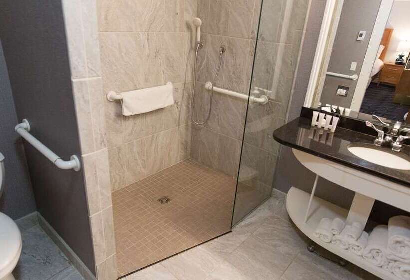 스탠다드 룸 킹사이즈 침대, Joinery Hotel Pittsburgh, Curio Collection By Hilton