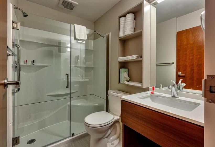 Студия Стандарт, Microtel Inn & Suites By Wyndham Niagara Falls