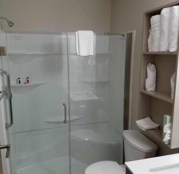 إستوديو قياسى, Microtel Inn & Suites By Wyndham Niagara Falls