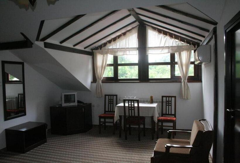 Номер Стандарт Вид на Горы, Family Hotel Bile