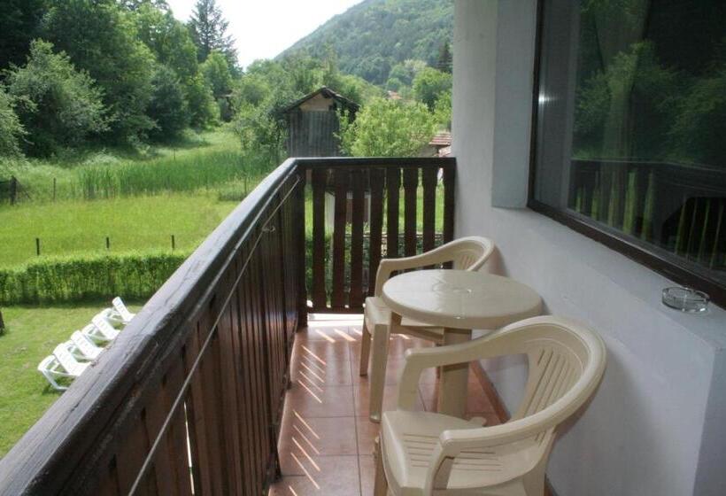 Номер Стандарт Вид на Горы, Family Hotel Bile