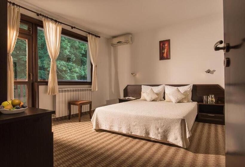Номер Стандарт Вид на Горы, Family Hotel Bile