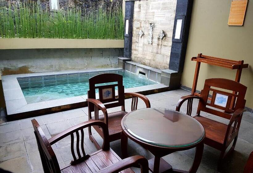 Вилла Deluxe 2 Спальни с Бассейном, Gracia Spa Resort