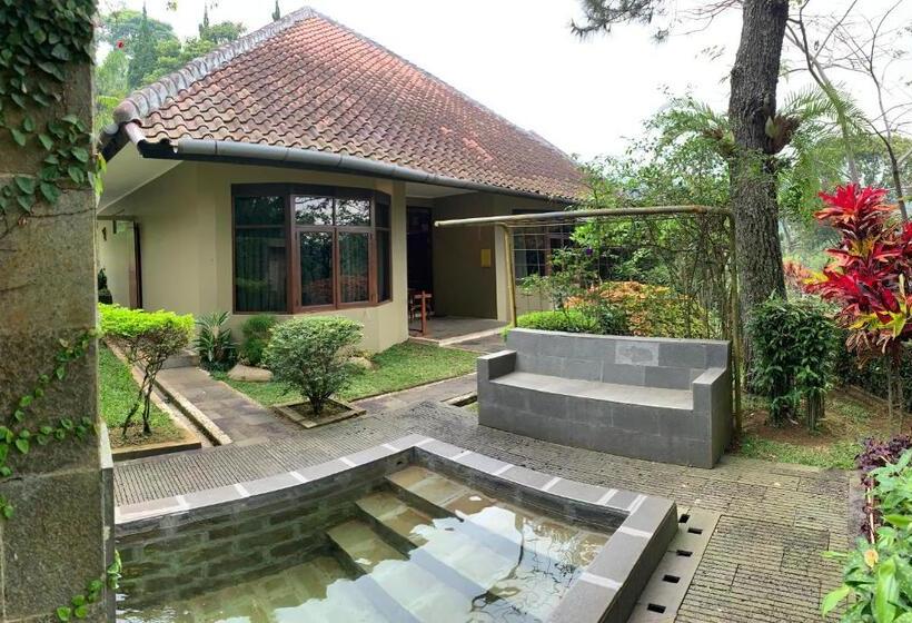 Вилла с 1 спальней и бассейном, Gracia Spa Resort
