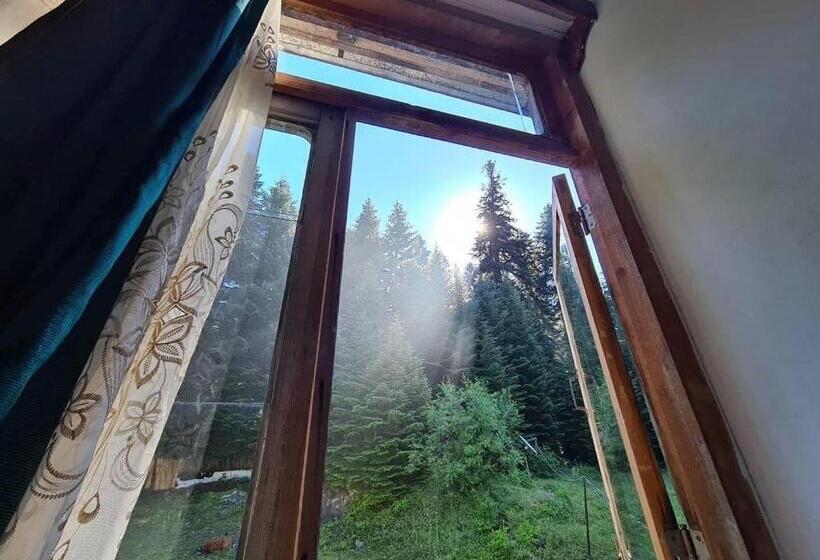 اتاق استاندارد چهار تخته, Family Inn Glola