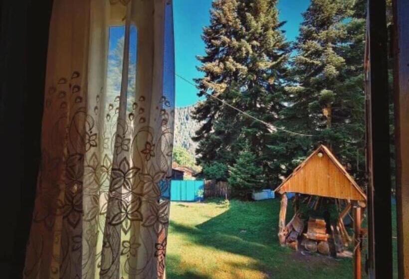 اتاق استاندارد چهار تخته, Family Inn Glola