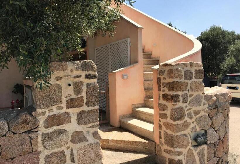 اتاق استاندارد, Matty & Yla   Costa Smeralda