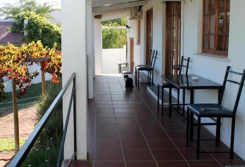 اتاق لوکس, Desert Rose Guesthouse
