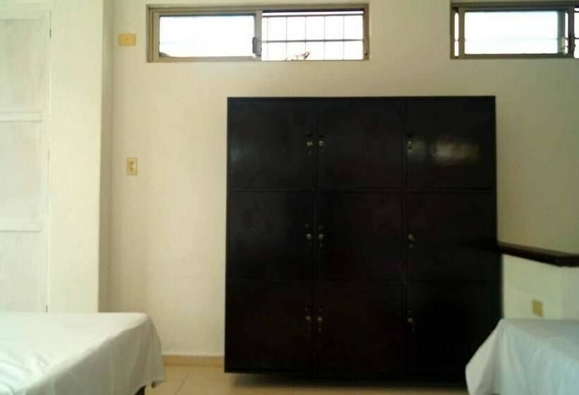 Cama em Quarto Compartilhado, Hostal Frida   Adults Only   Hostel