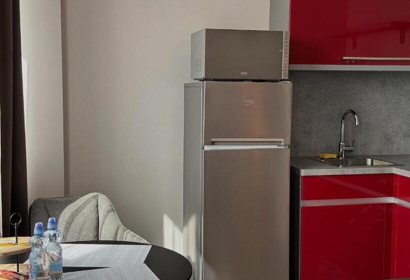 استودیو استاندارد با تخت کینگ, Alejas Apartments