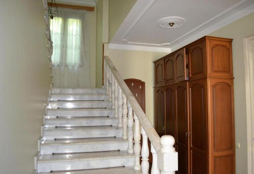 اتاق لوکس با چشم‌انداز دریا, Beach Front Seaside