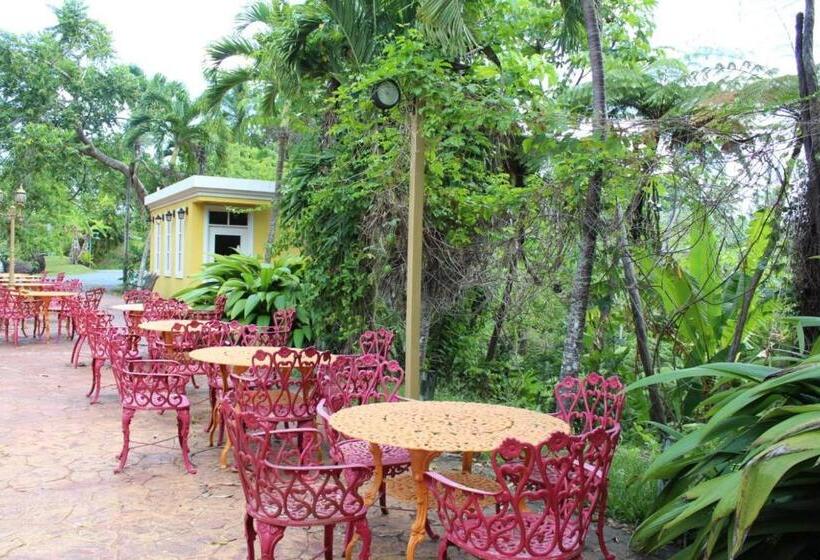 اتاق استاندارد با تخت بزرگ, El Oasis
