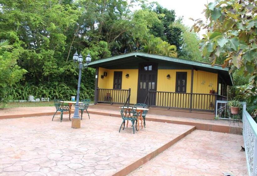 اتاق استاندارد با تخت بزرگ, El Oasis