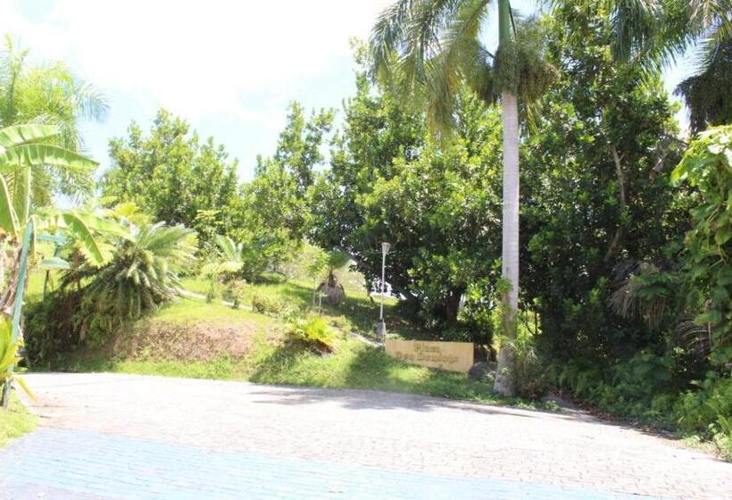 اتاق لوکس, El Oasis