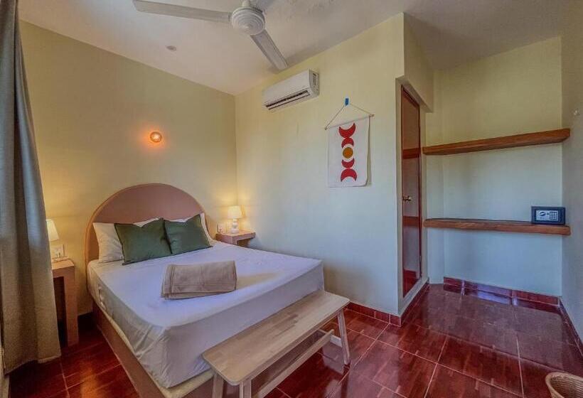 اتاق سوپریور, Viajero Puerto Escondido Hostel