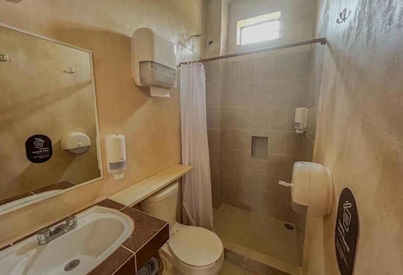 تختخواب در اتاق مشترک, Viajero Puerto Escondido Hostel