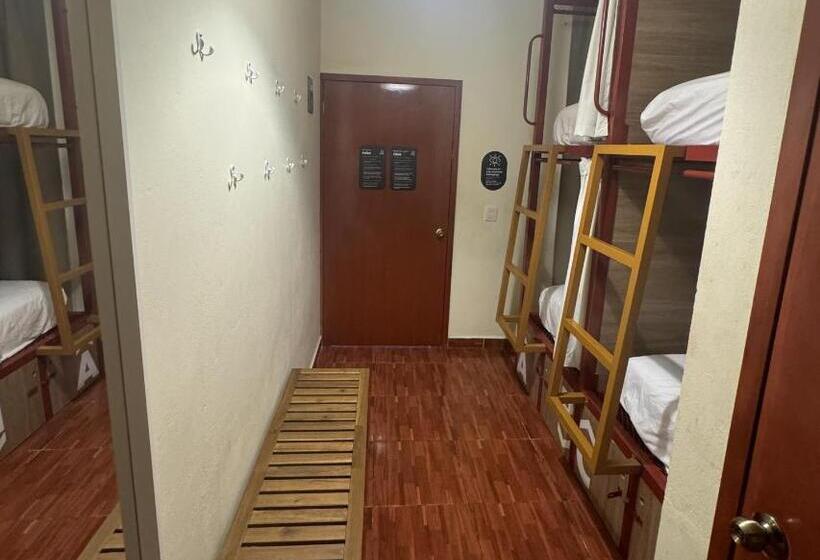 تختخواب در اتاق مشترک, Viajero Puerto Escondido Hostel