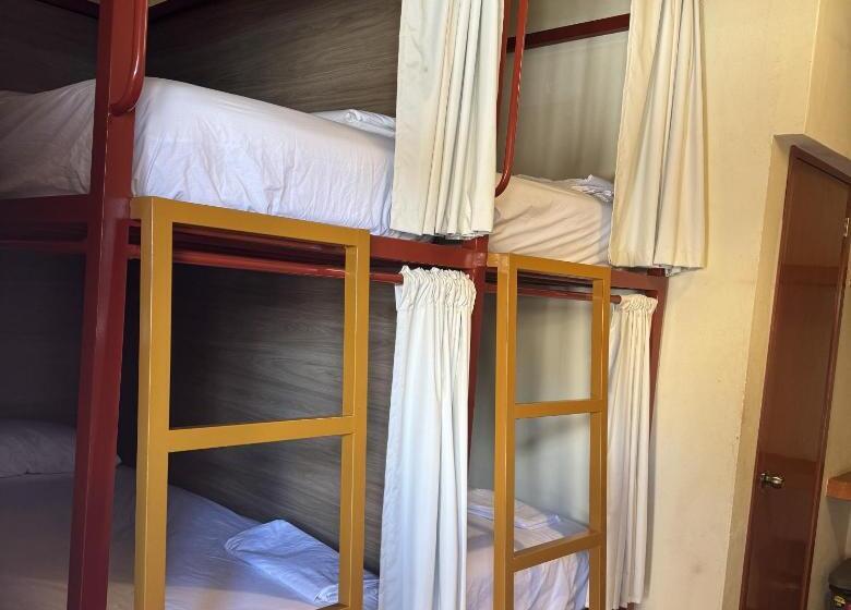 تختخواب در اتاق مشترک, Viajero Puerto Escondido Hostel