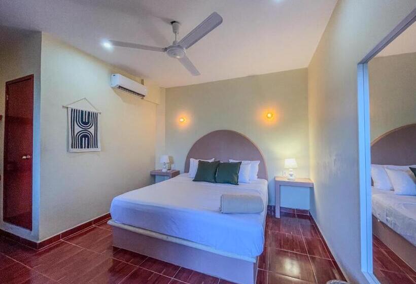 اتاق سوپریور با تخت بزرگ, Viajero Puerto Escondido Hostel