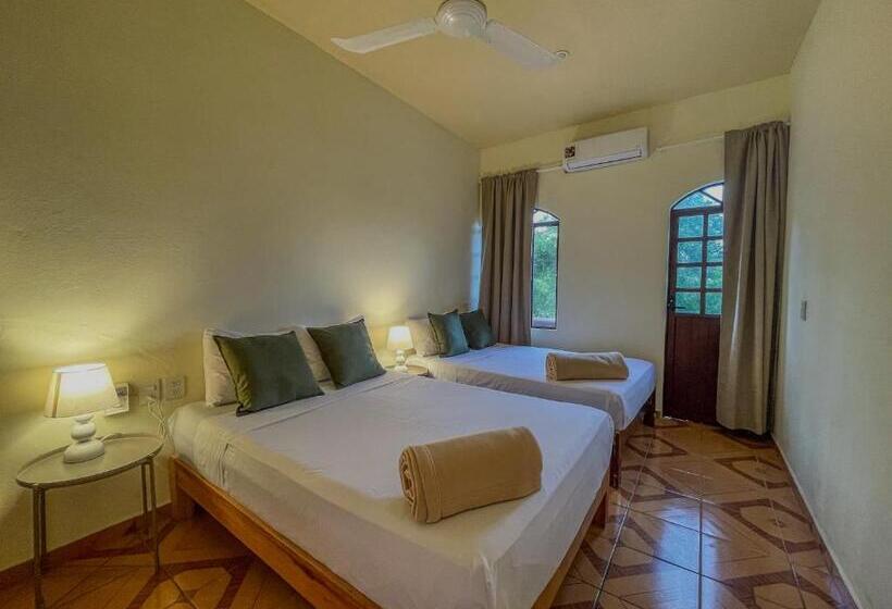 اتاق لوکس, Viajero Puerto Escondido Hostel