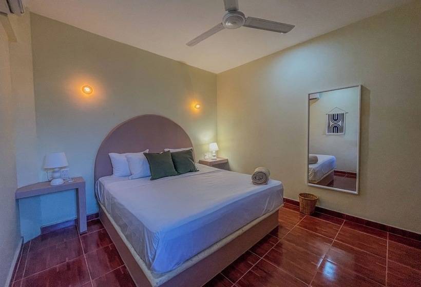 اتاق سوپریور, Viajero Puerto Escondido Hostel